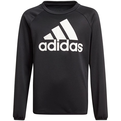 Adidas PE Sweatshirt (GN1482) to Age 16, PE Kit
