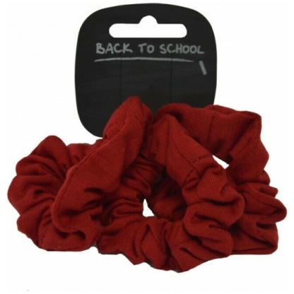 Scrunchies Velvet Pack of 3, Levenvale Primary, Levenvale ELCC, Hair Accessories