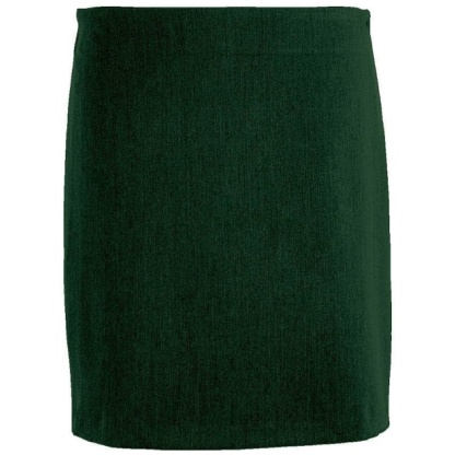 Honiton Hipster Stretch Skirt (In Bottle), Skirts