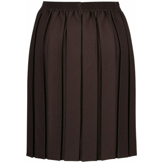 Primary School Box Pleat Skirt (In Brown), Skirts