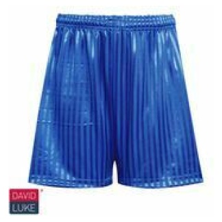 School PE Short (In Royal), PE Kit