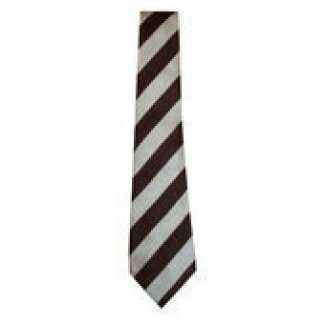 Levenvale Tie , Levenvale Primary